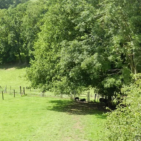 Vakantieboerderij Xhawirs Horse Farm